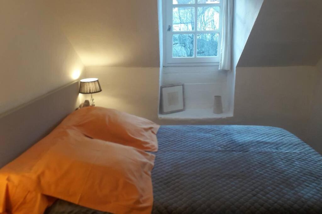 Magnifique Maison De Maitre Du 18E Avec Jardin Luz-Saint-Sauveur Eksteriør bilde