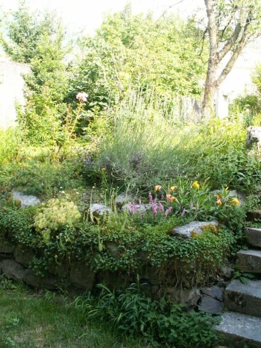 Magnifique Maison De Maitre Du 18E Avec Jardin Luz-Saint-Sauveur Eksteriør bilde