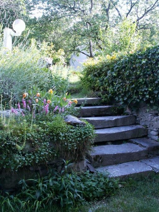 Magnifique Maison De Maitre Du 18E Avec Jardin Luz-Saint-Sauveur Eksteriør bilde
